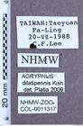 Etikett zu Agrypnus dilatipennis (Kishii, 1995)